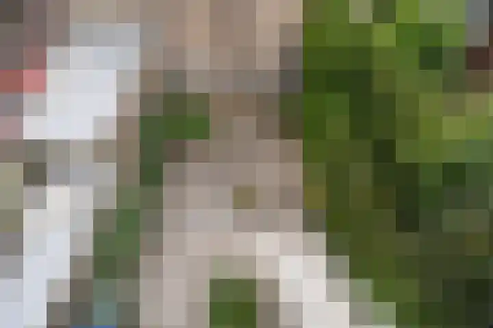 Spoorsingel 46 Delft thumbnail 47