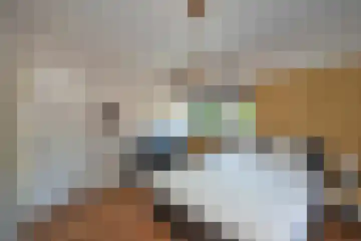Spoorstraat 12 Delden thumbnail 39