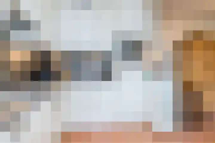 Spoorstraat 14 Ransdaal thumbnail 16