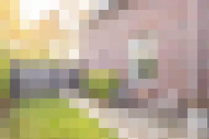 Spoorstraat 4 Brunssum thumbnail 32