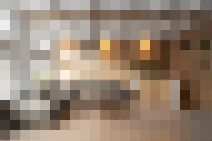 Spoorstraat 88 Alkmaar thumbnail 22