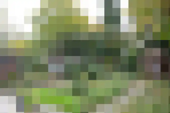 Spoorstraat 9 Baarn thumbnail 20