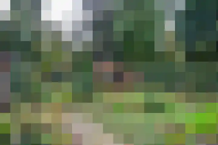 Spoorstraat 9 Baarn thumbnail 24
