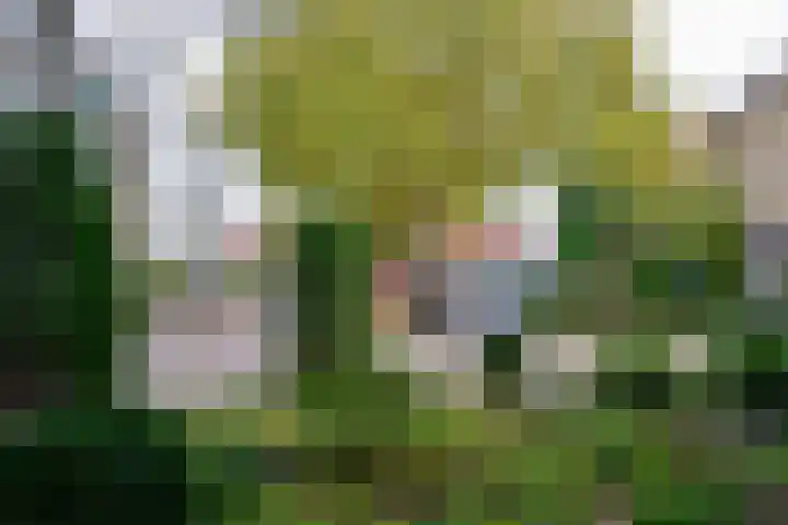 Spoorstraat 9 Baarn thumbnail 27