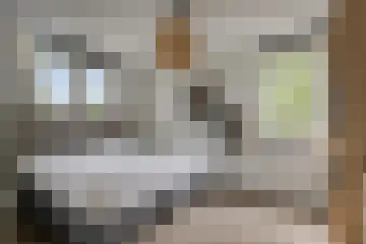 Spoorstraat 9 Soest thumbnail 19
