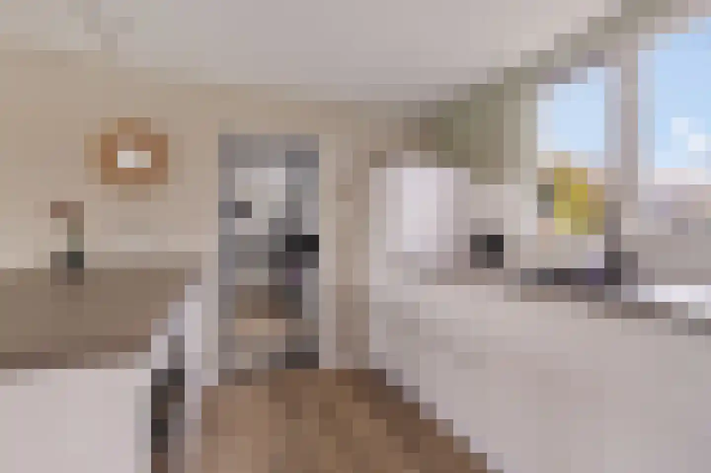 Spoorstrjitte 11 Deinum thumbnail 15