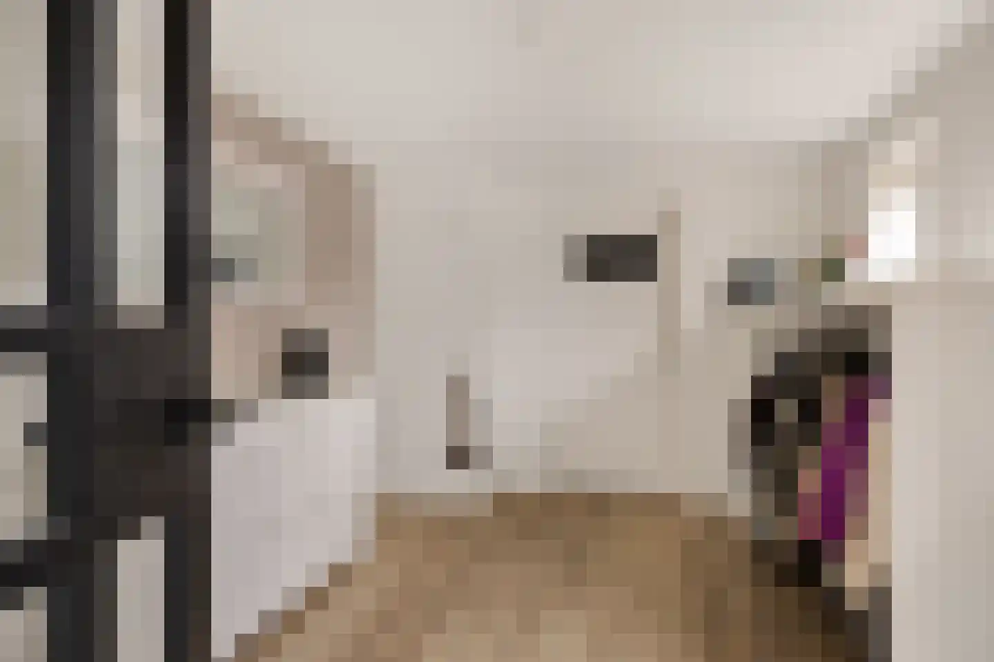 Spoorstrjitte 11 Deinum thumbnail 19