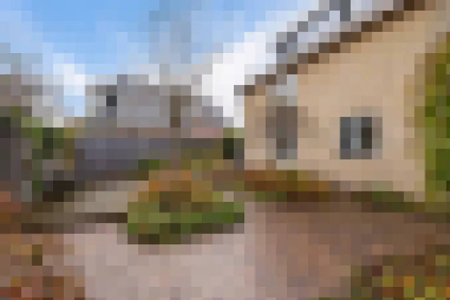 Spoorstrjitte 11 Deinum thumbnail 34