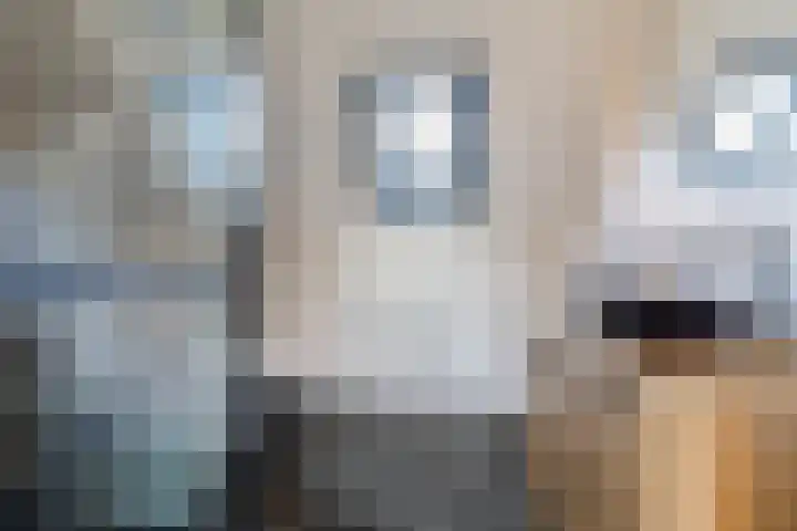 Spoorven 158 Veghel thumbnail 27