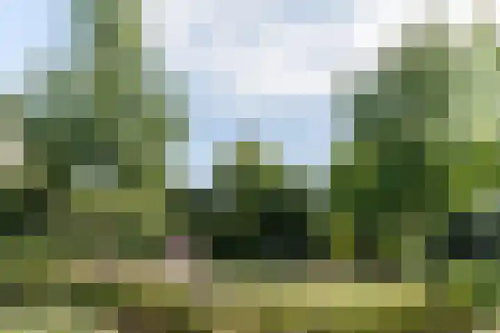 Spoorven 158 Veghel thumbnail 41