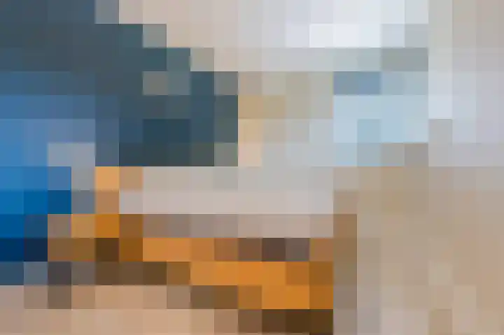 Spoorven 222 Veghel thumbnail 22