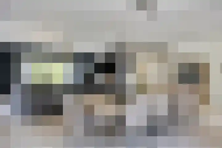 Spoorven 619 Veghel thumbnail 13