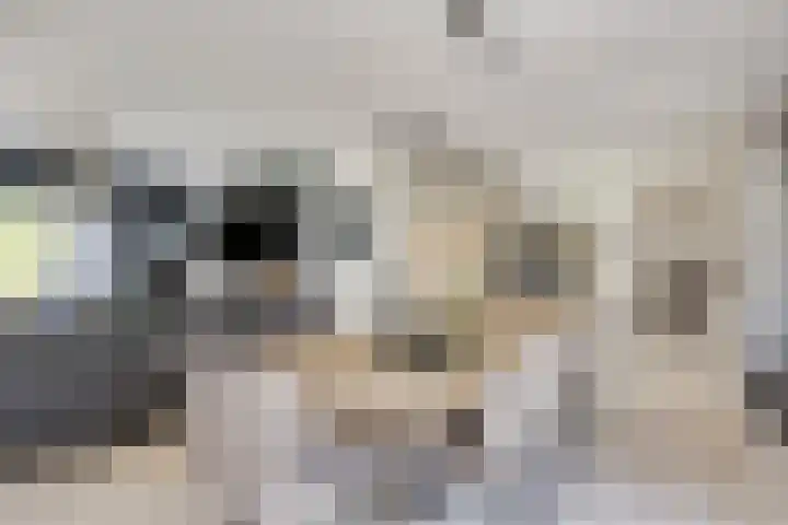 Spoorven 619 Veghel thumbnail 17