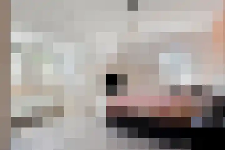 Spoorven 619 Veghel thumbnail 30