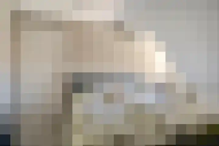 Spoorven 619 Veghel thumbnail 36