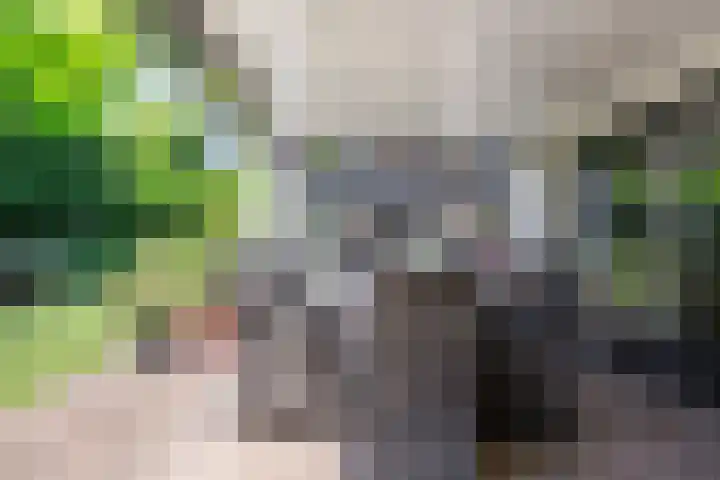 Spoorven 619 Veghel thumbnail 43