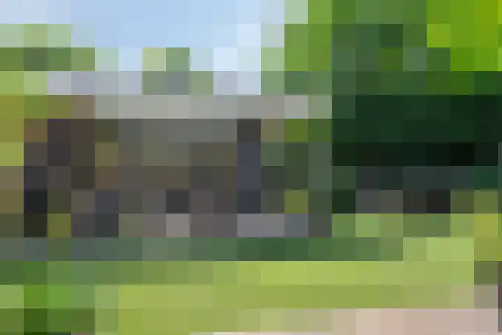 Spoorven 619 Veghel thumbnail 44