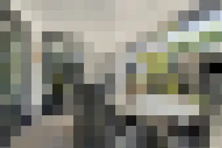 Spoorven 619 Veghel thumbnail 46