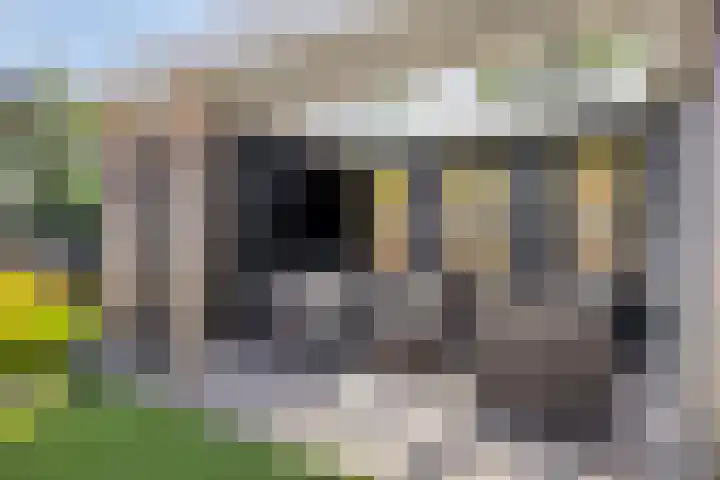 Spoorven 619 Veghel thumbnail 48
