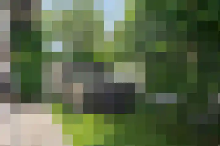 Spoorven 619 Veghel thumbnail 49