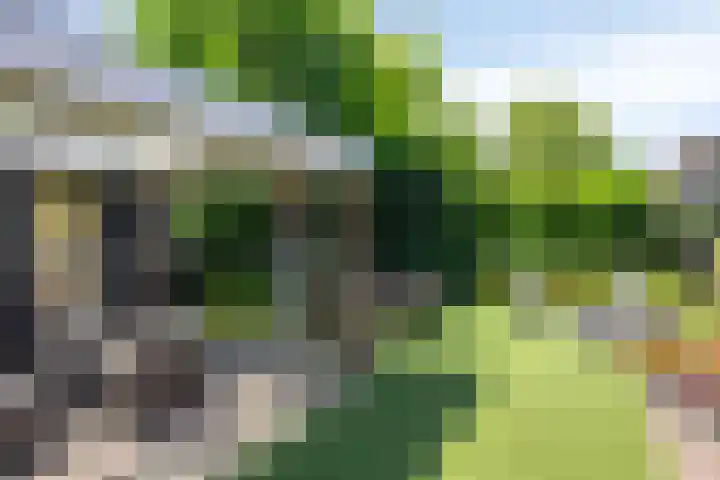 Spoorven 619 Veghel thumbnail 50