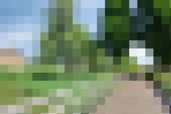 Spoorven 619 Veghel thumbnail 51