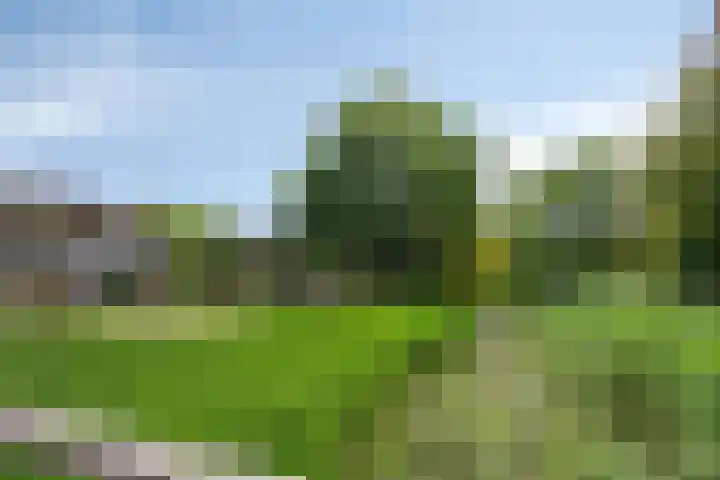 Spoorven 619 Veghel thumbnail 52