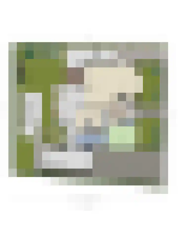 Spoorven 619 Veghel thumbnail 53