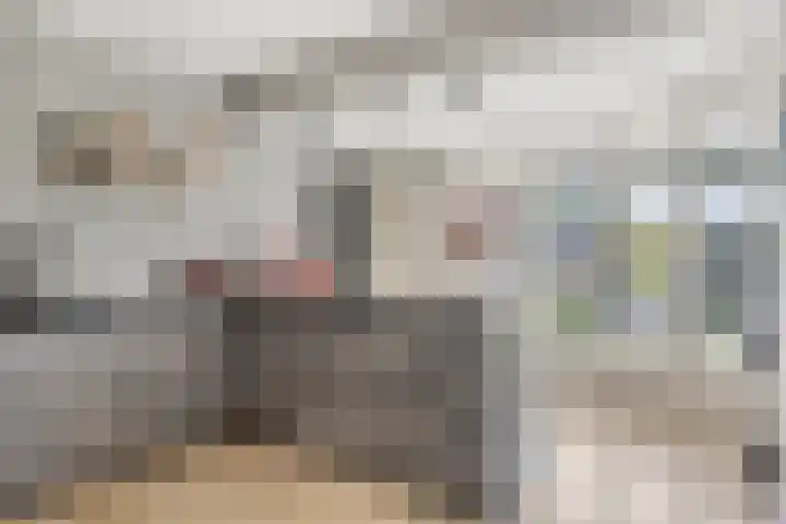 Spoorven 619 Veghel thumbnail 8
