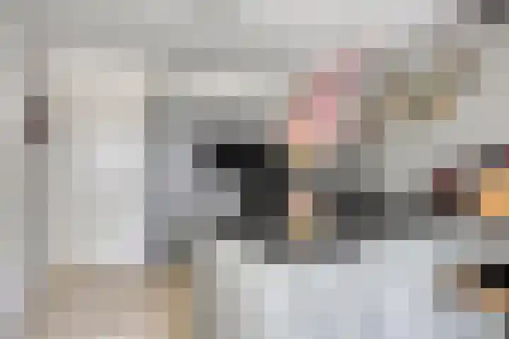 Spoorven 619 Veghel thumbnail 9