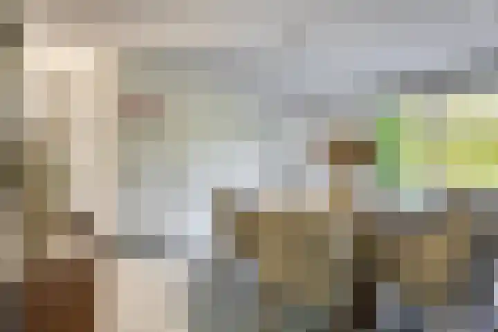 Spoorven 627 Veghel thumbnail 10