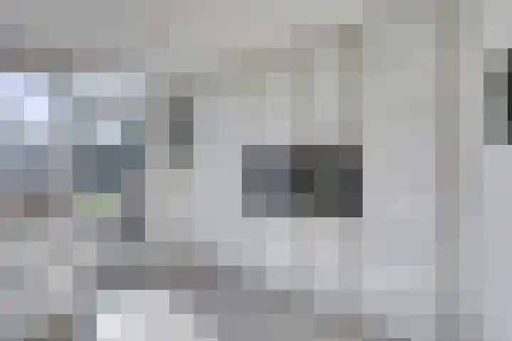 Spoorven 627 Veghel thumbnail 19