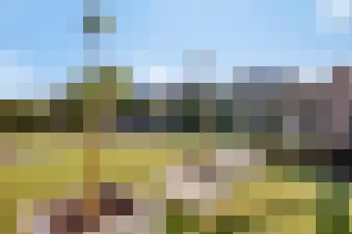 Spoorven 627 Veghel thumbnail 38