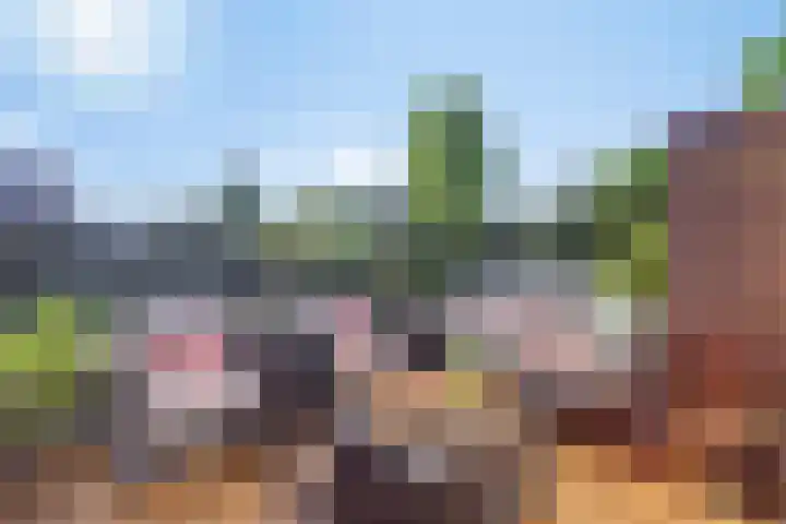 Spoorven 627 Veghel thumbnail 41