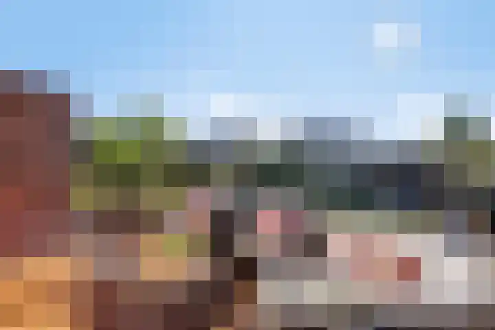 Spoorven 627 Veghel thumbnail 42