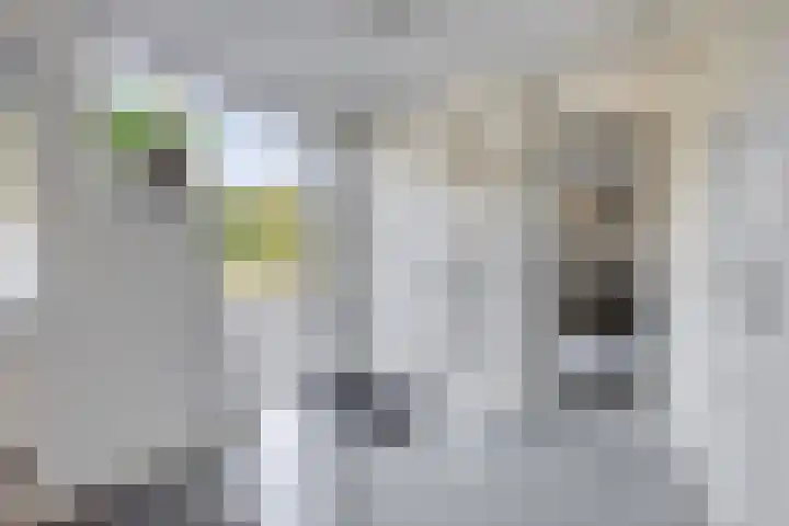 Spoorven 627 Veghel thumbnail 6