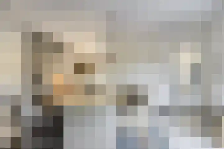 Spoorven 627 Veghel thumbnail 9