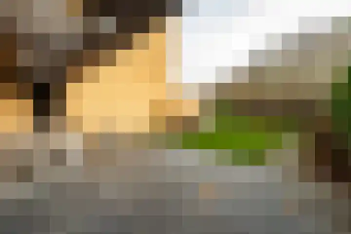 Sporenring 120 Goirle thumbnail 5