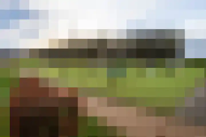 Sporenring 120 Goirle thumbnail 53