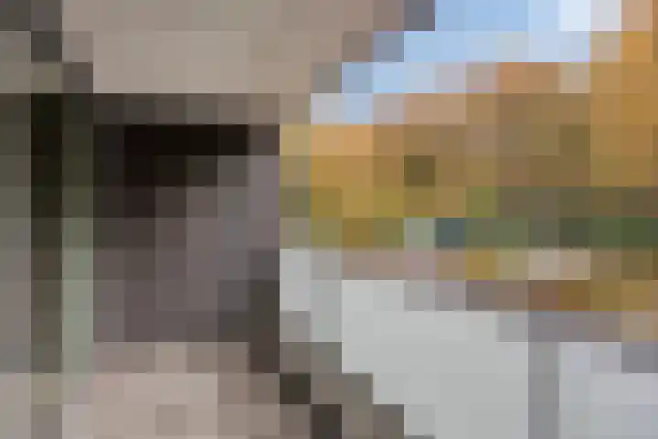 Sporenring 226 Goirle thumbnail 16