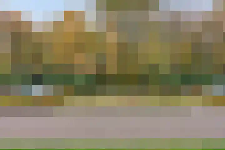 Sporenring 226 Goirle thumbnail 17