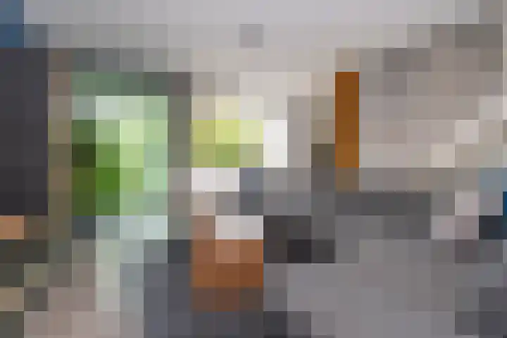 Sporenring 228 Goirle thumbnail 16