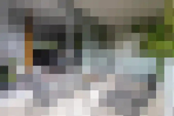 Sporenring 228 Goirle thumbnail 19