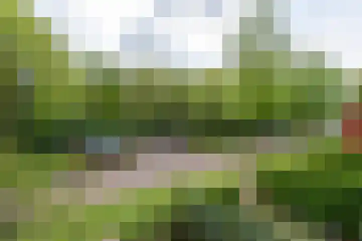 Sporenring 228 Goirle thumbnail 20