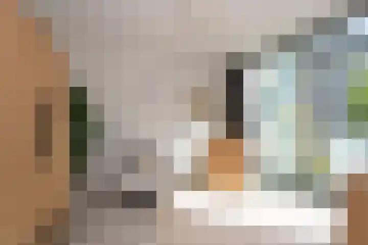 Sporenring 228 Goirle thumbnail 29