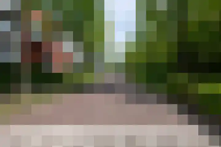 Sporenring 228 Goirle thumbnail 37