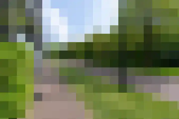 Sporenring 228 Goirle thumbnail 38