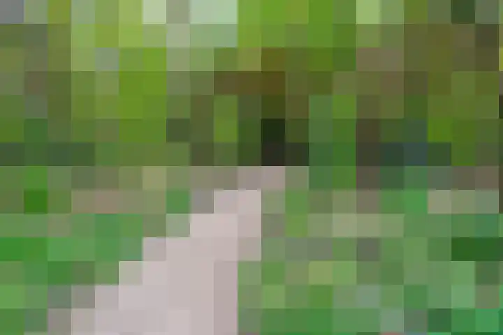 Sporenring 228 Goirle thumbnail 40