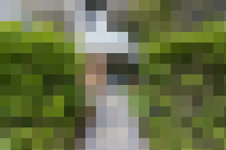 Sporenring 228 Goirle thumbnail 7