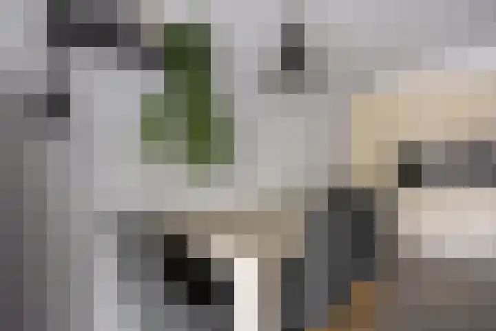 Sporenring 248 08 Goirle thumbnail 10